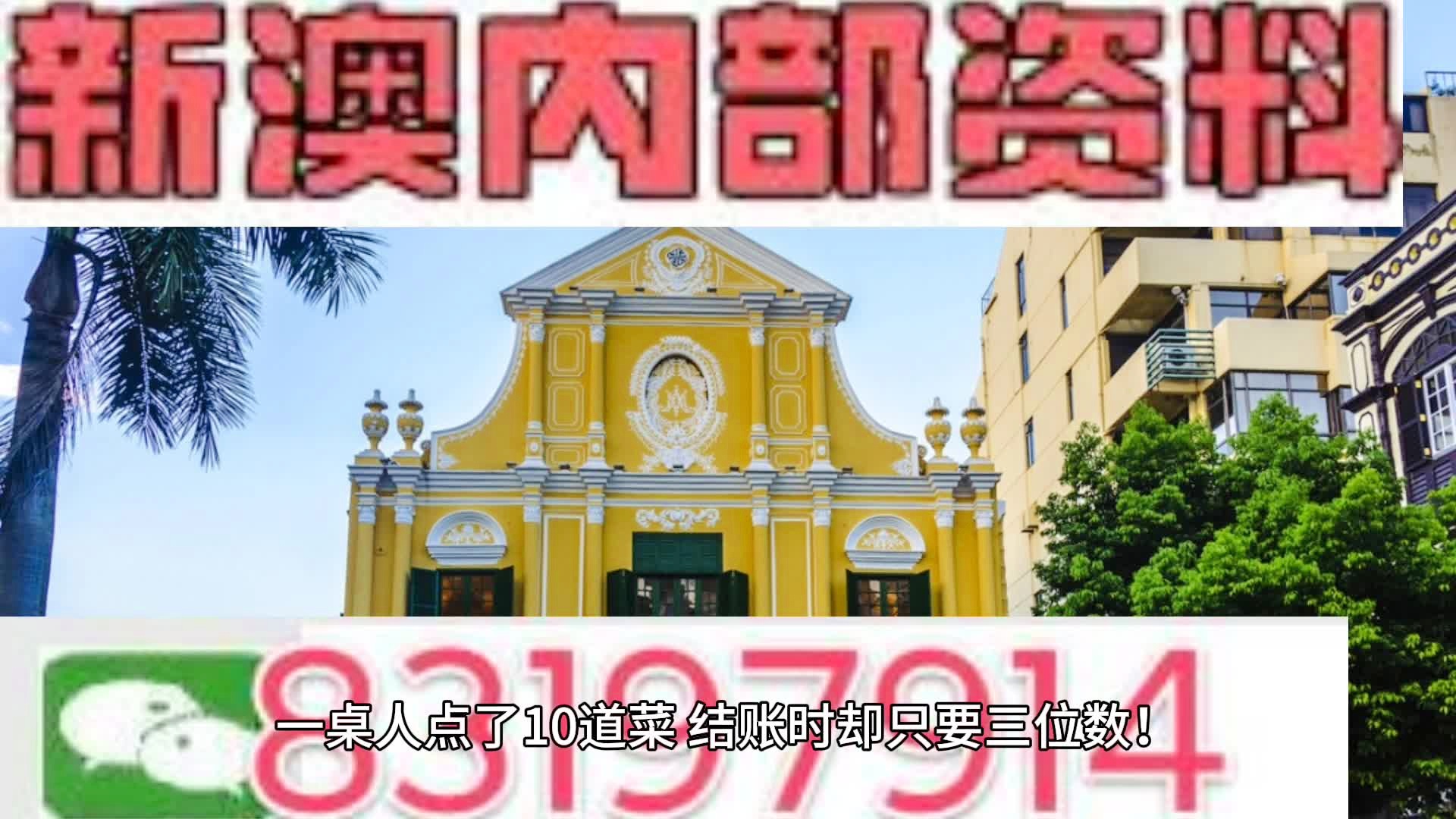 澳门一肖一100精总料,电信讲解解释释义