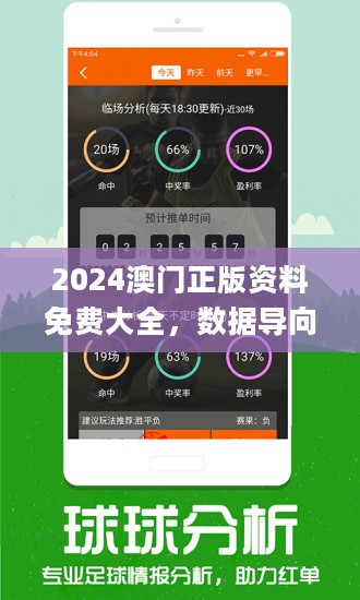 2024新澳正版免费资料的特点,综合研究解释落实