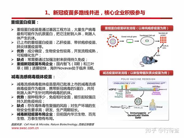 中国疫苗最新试验消息，进展与创新