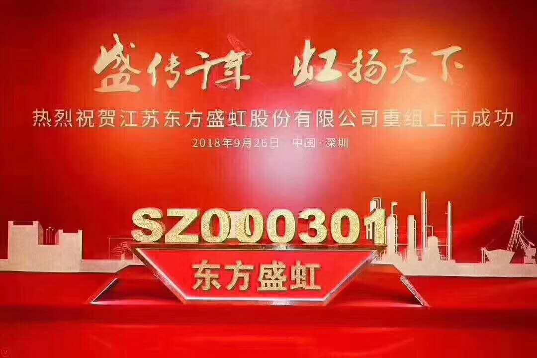 东方盛虹最新公告，引领行业变革，共创美好未来