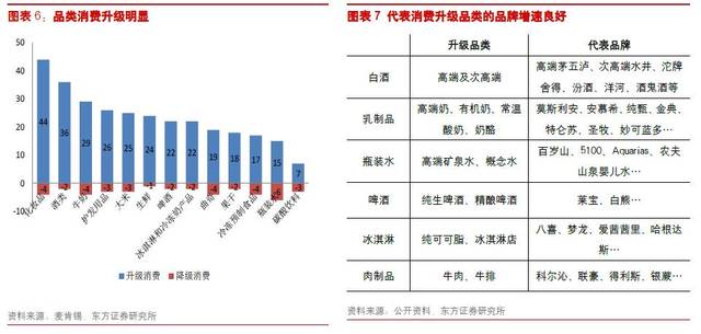 食品饮料基金最新动态，市场趋势、投资策略与未来展望