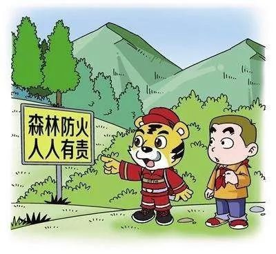 五华最新火灾，灾难背后的反思与应对之道