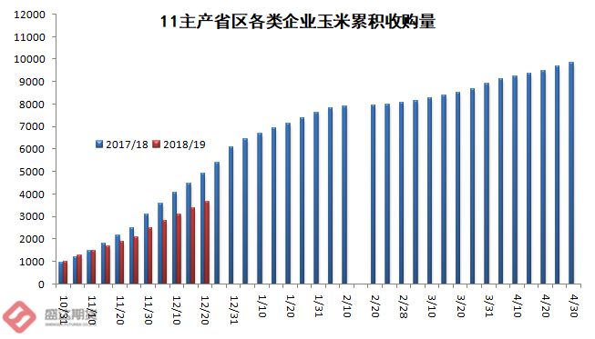 关于2019年玉米最新价格的深度解析